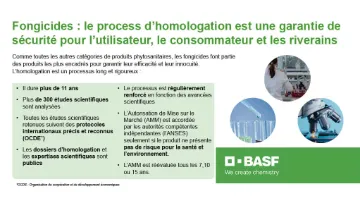 fongicides, quel est le process d'homologation